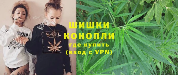 ПСИЛОЦИБИНОВЫЕ ГРИБЫ Медногорск