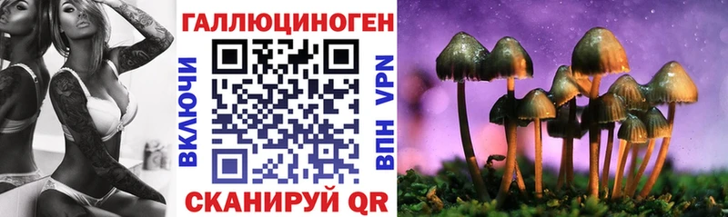 где купить наркоту  Адыгейск  Галлюциногенные грибы Cubensis 